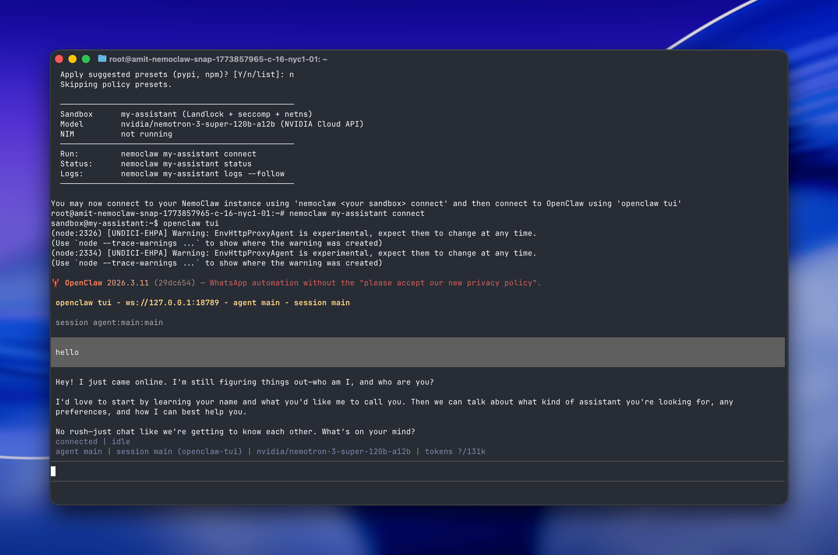 The OpenClaw TUI running inside the NemoClaw sandbox, showing the agent's greeting and an interactive chat session