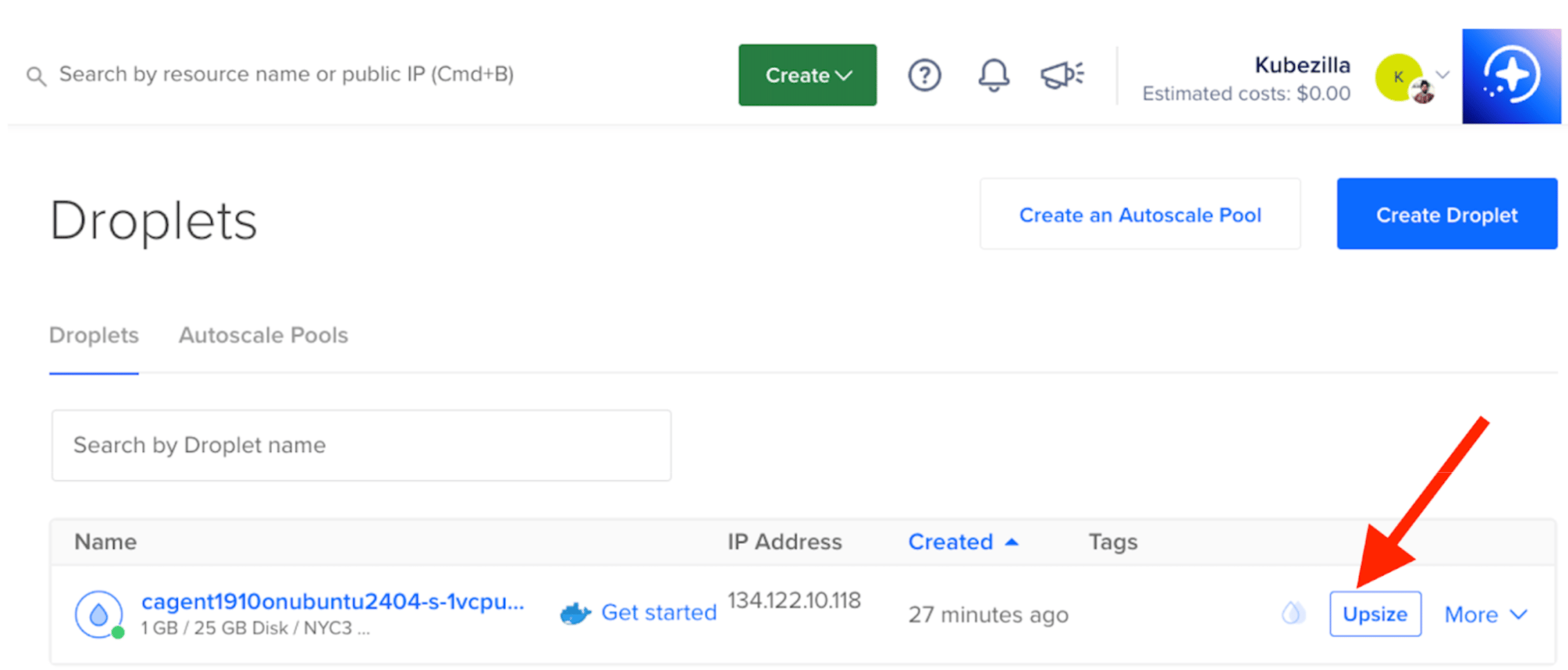Select the 8GB RAM plan for local model inference